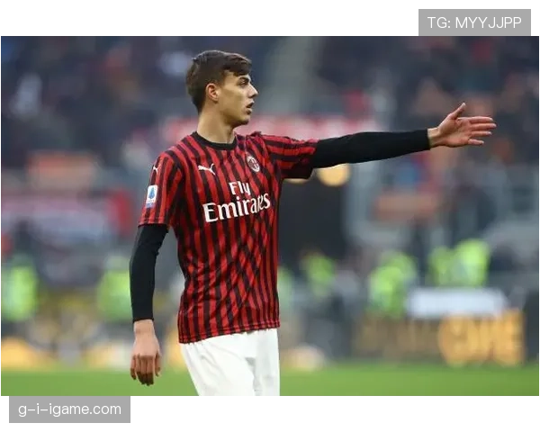 马尔蒂尼技术传承 马尔蒂尼技术传承